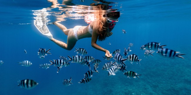 snorkeling.jpg